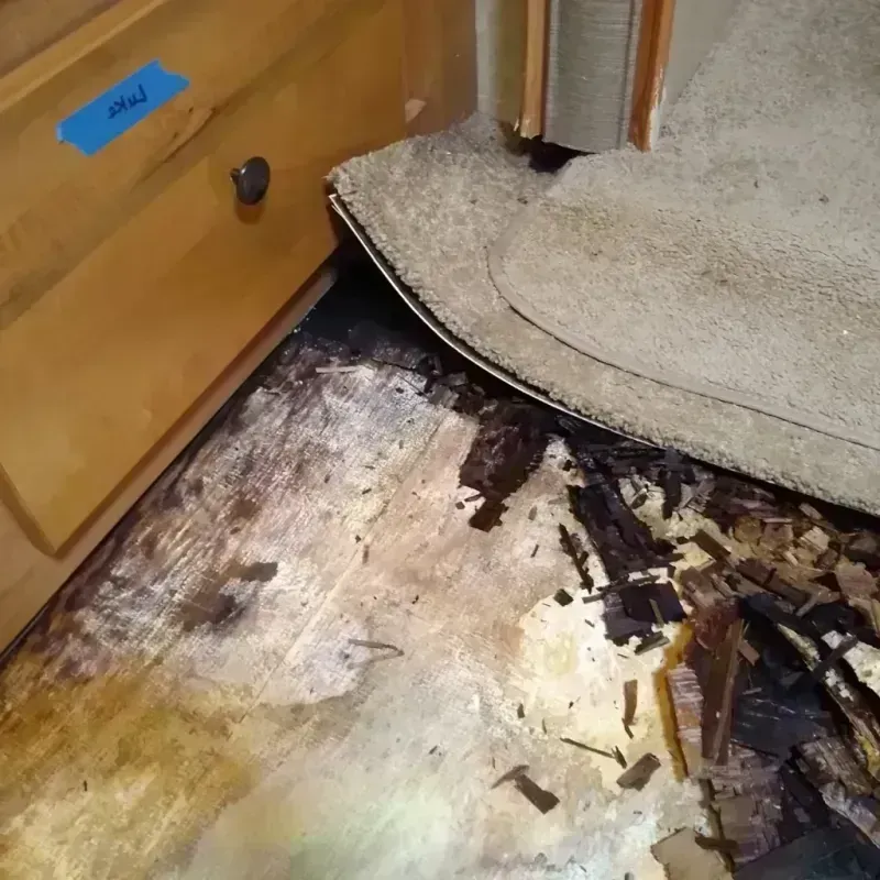 Wood Floor Water Damage in Somerdale, NJ